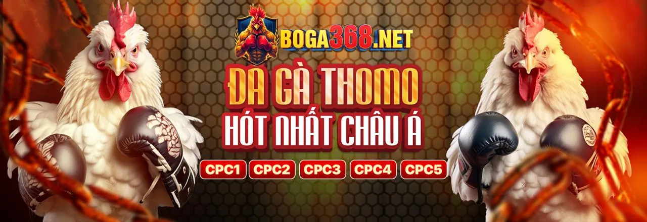 Cơ hội hợp tác cùng cobet hiện đang mở