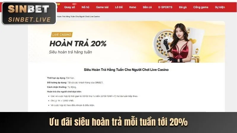 Hướng dẫn cobet hiện đang mở cho người mới